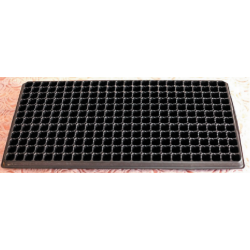 Almaciguera 72 celdas