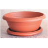 Maceta bonsái con plato