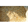 Cascara de arroz 5 litros