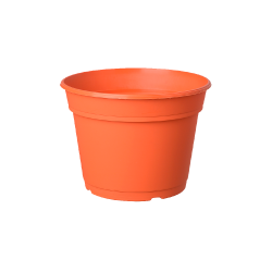 Maceta Holanda