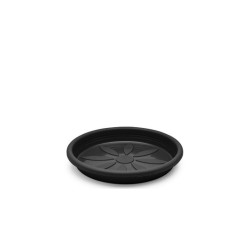 Plato plasmont redondo