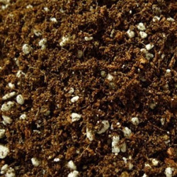 Fibra de coco 2kg