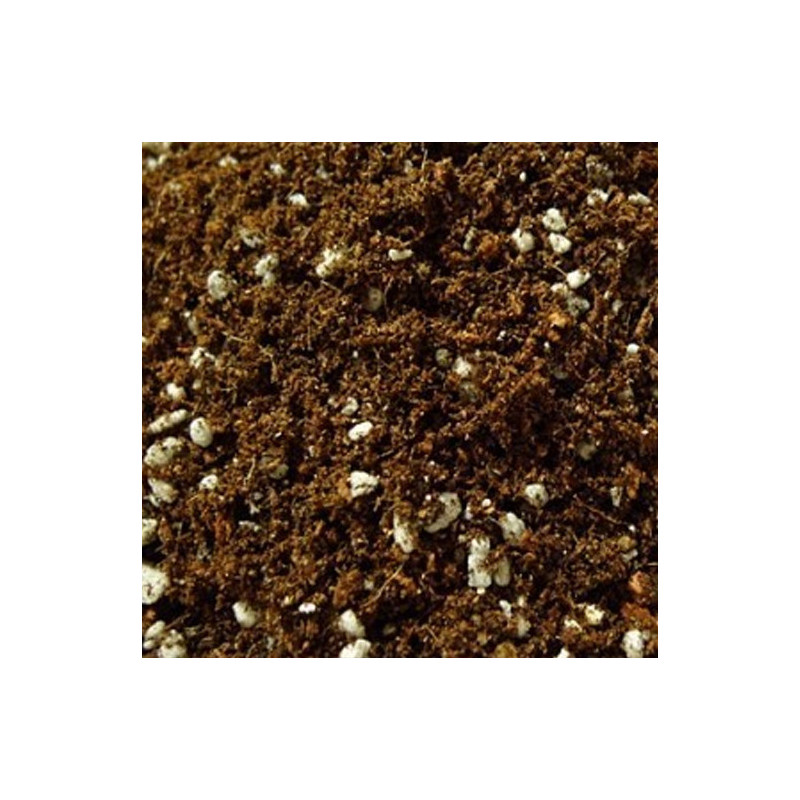 Fibra de coco 2kg