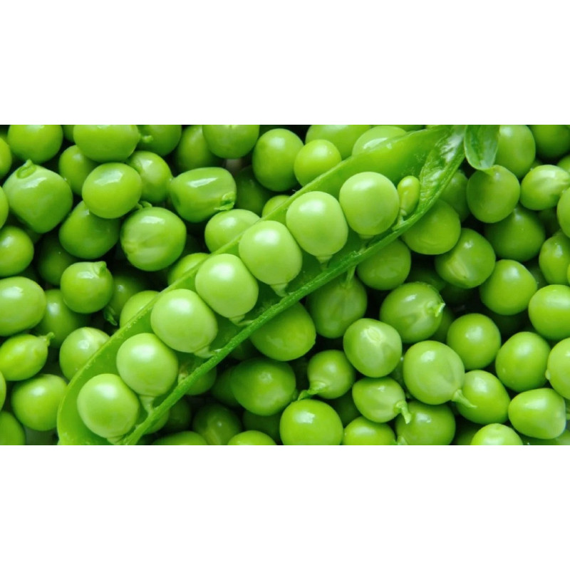 Semilla arvejas 100 gramos