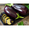 Semilla berenjena 5 gramos