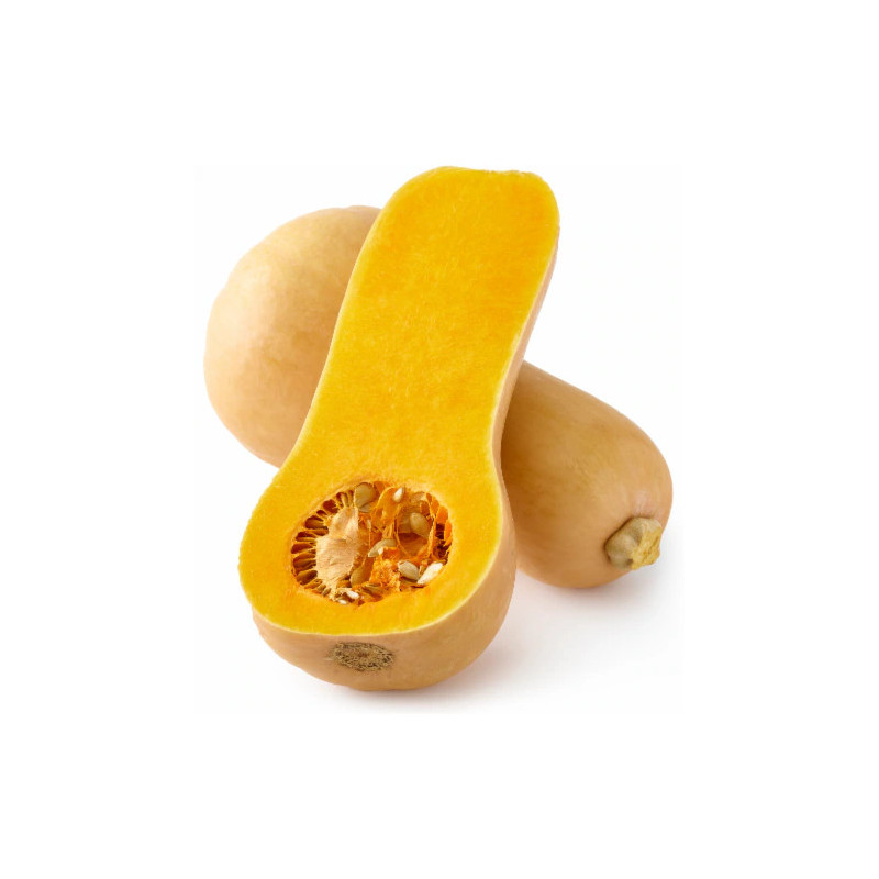 Semilla calabacín 20 gramos