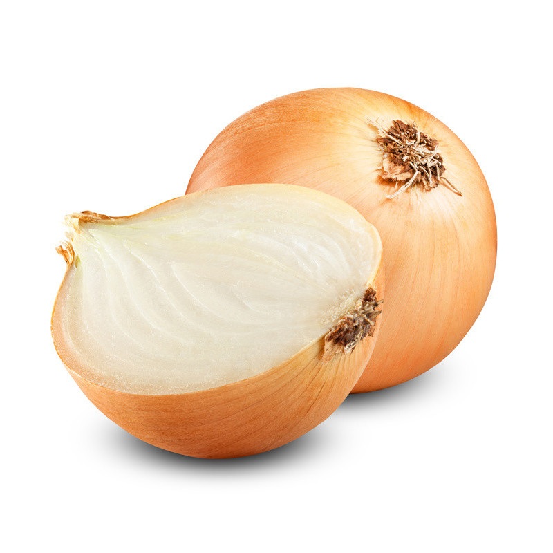 Semilla cebolla 10 gramos