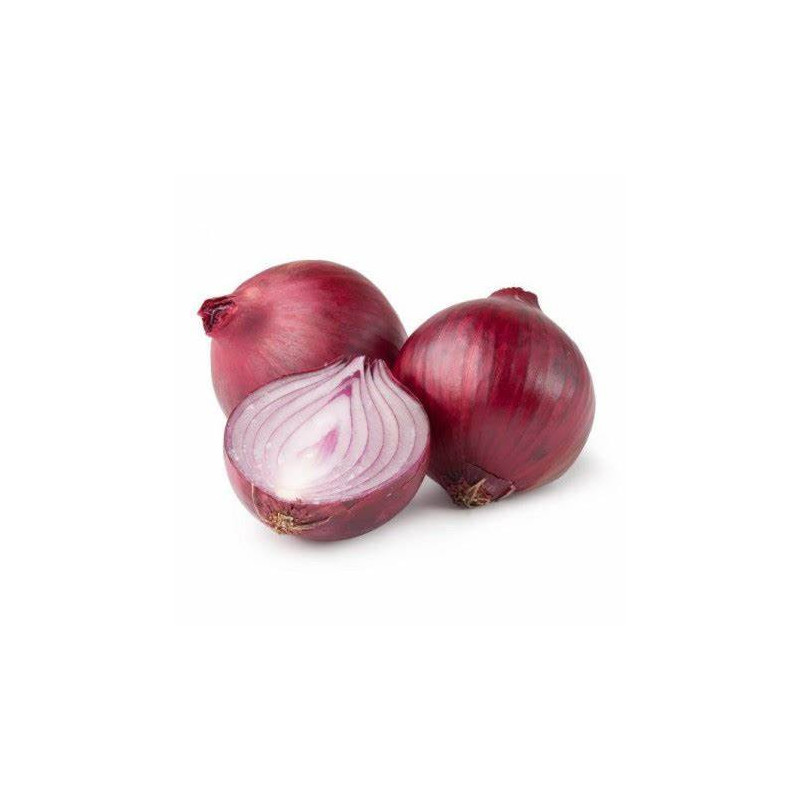 Semilla cebolla colorada 10 gramos