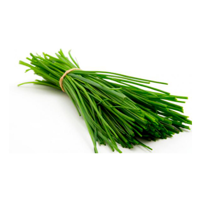 Semilla ciboulette 5 gramos Semilla ciboulette 5 gramos