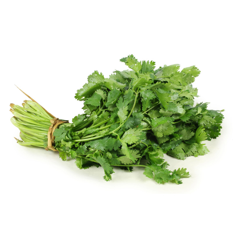 Semilla cilantro 10 gramos