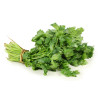 Semilla cilantro 10 gramos