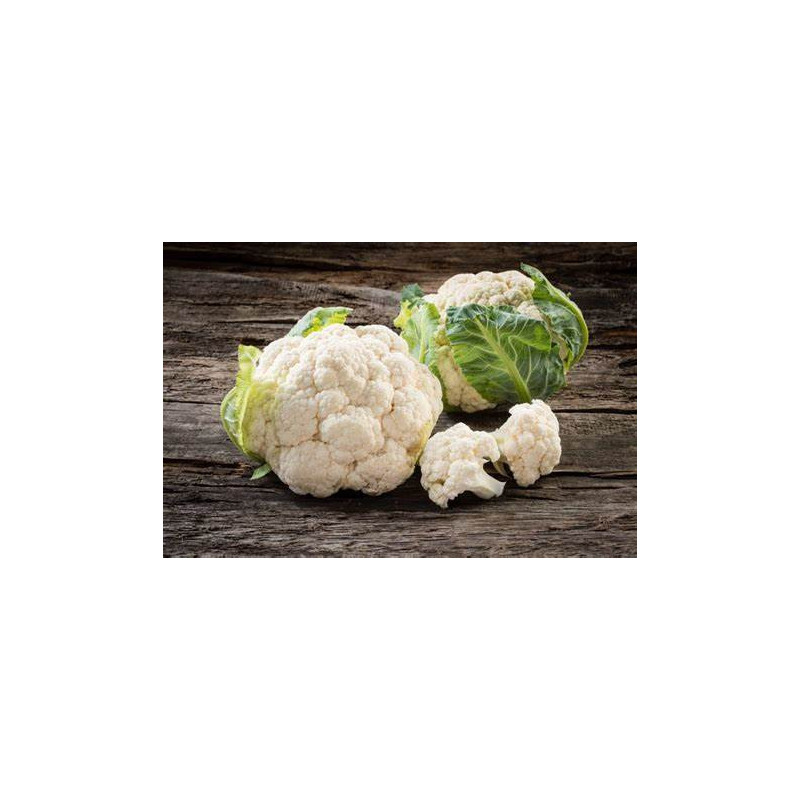 Semilla coliflor 1 gramo