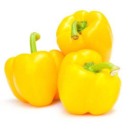 Semilla pimiento amarillo 5 gramos