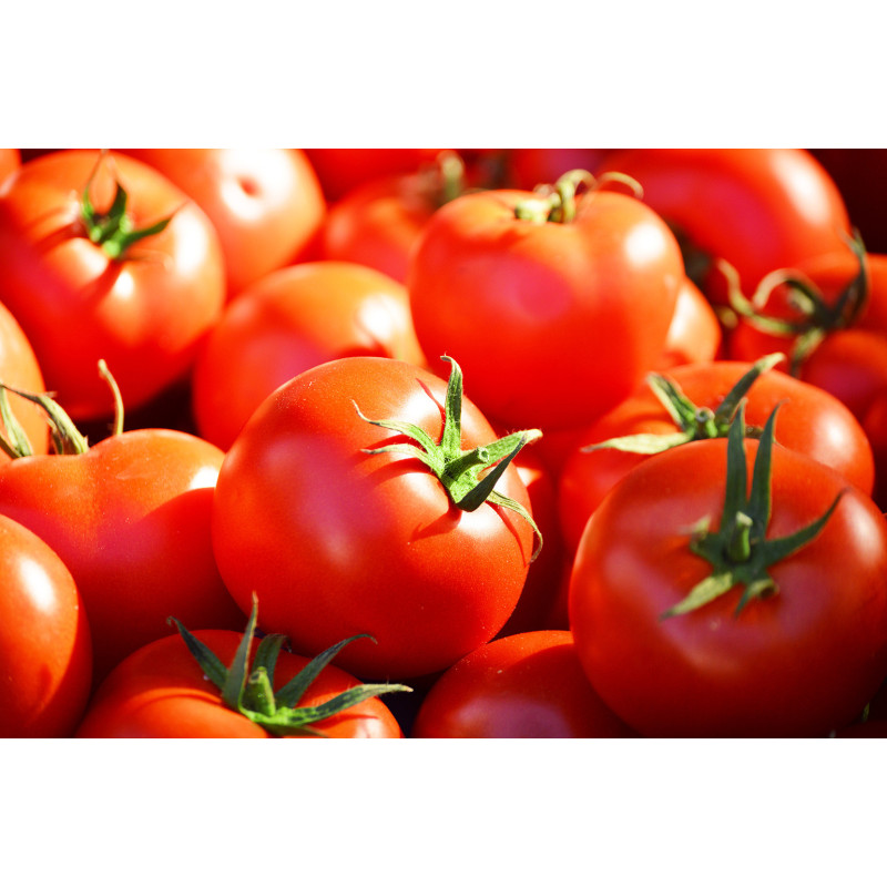 Semilla tomate 5 gramos