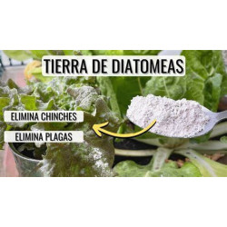 Tierra diatomea 1 kilo