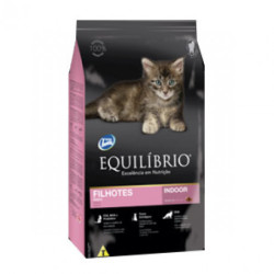 Equilibrio gato filhotes