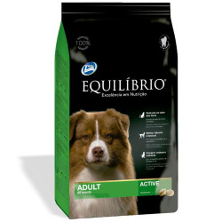 Equilibrio perro adulto
