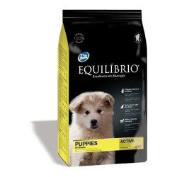 Equilibrio perro puppies