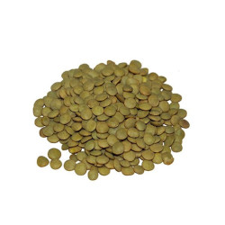 Lentejon 1kg