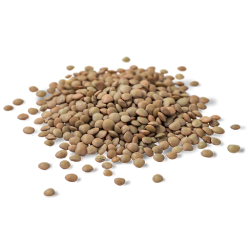 Lenteja 1kg