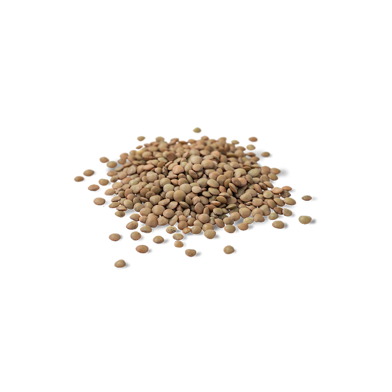 Lenteja 1kg Lenteja 1kg