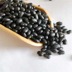 Poroto negro 1kg