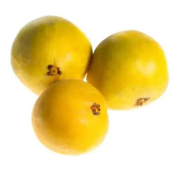 Planta frutal arazá