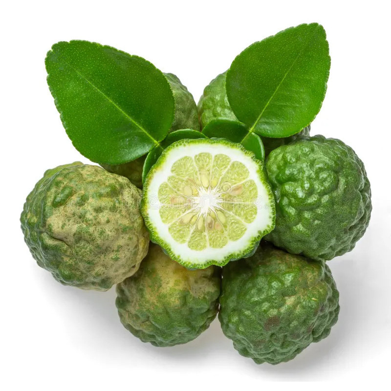 Planta frutal bergamota Planta frutal bergamota