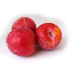 Planta frutal ciruela Leticia