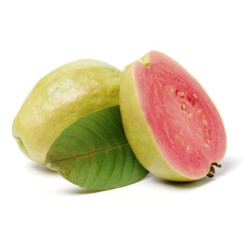 Planta frutal guayabo brasilero