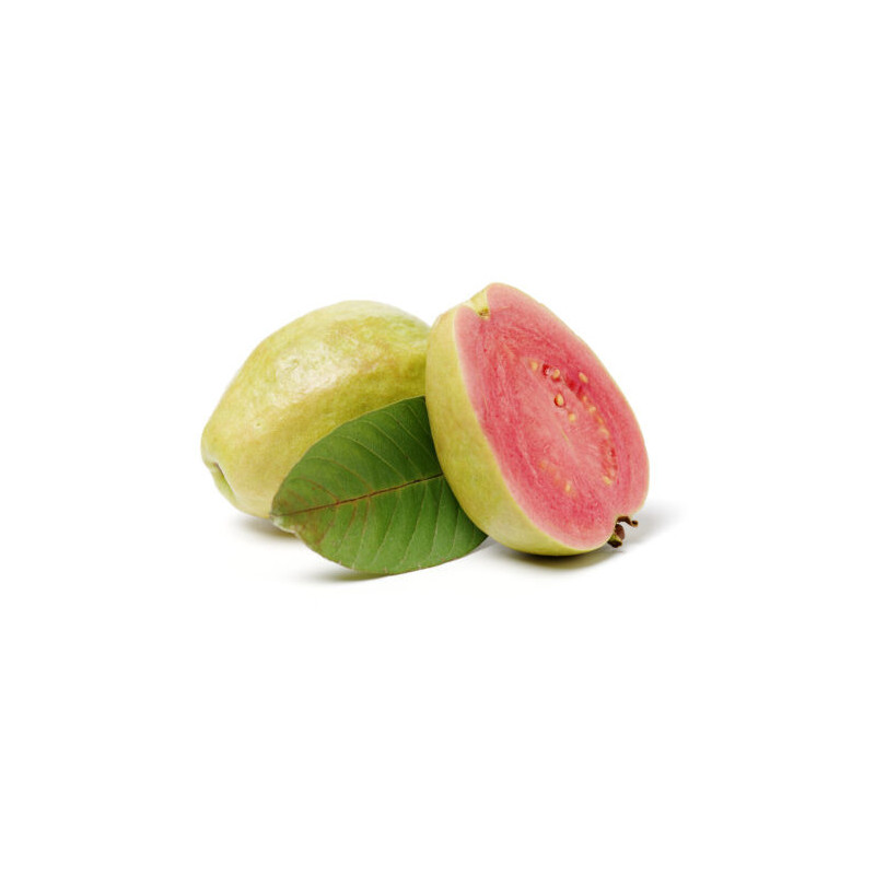 Planta frutal guayabo brasilero Planta frutal guayabo brasilero
