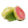 Planta frutal guayabo brasilero