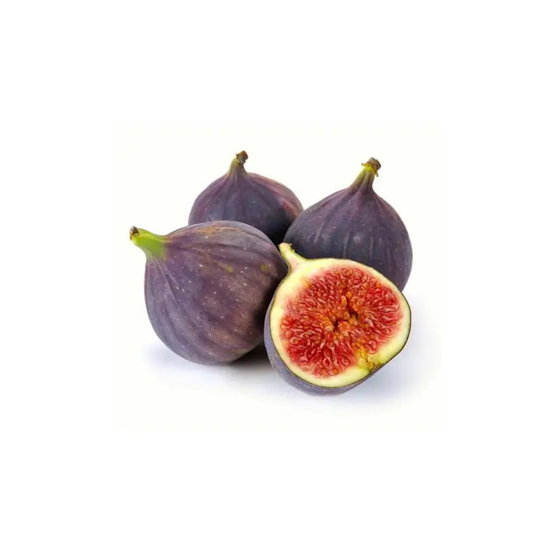 Planta frutal higo negro