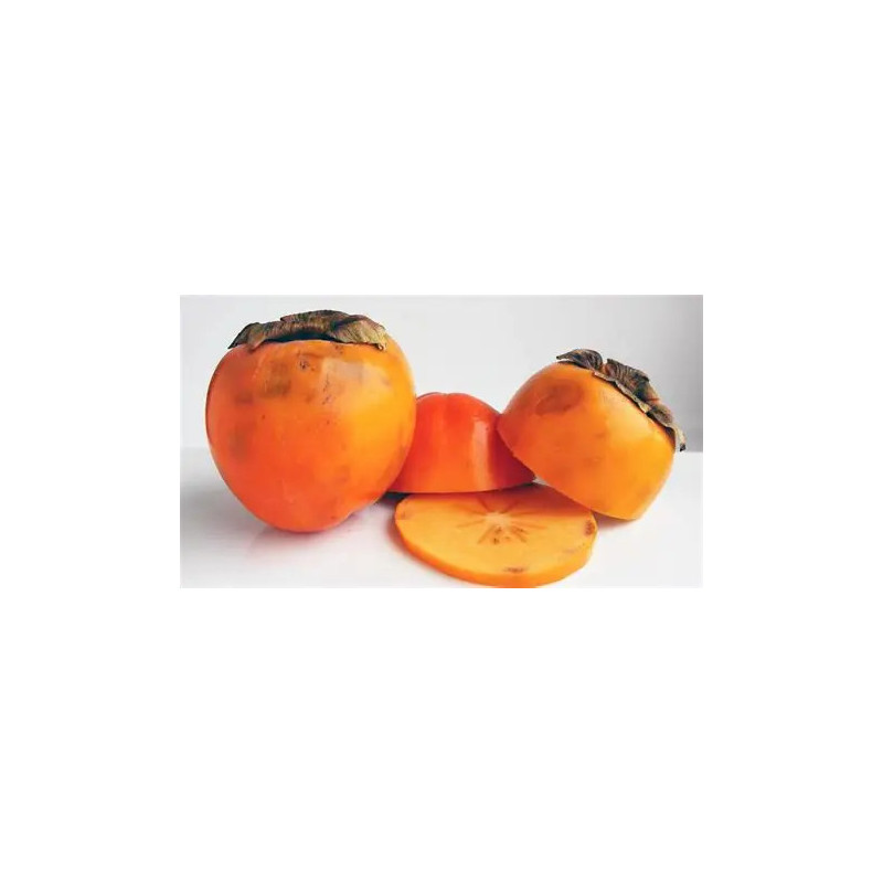 Planta frutal Kinoto