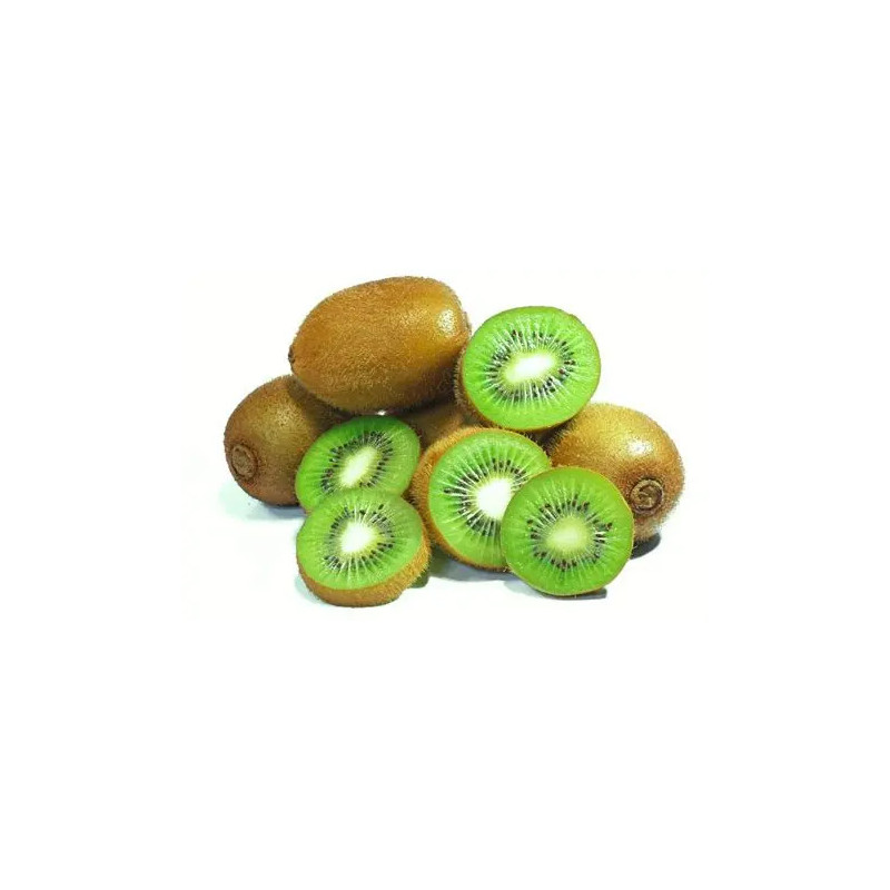 Planta frutal Kiwi hembra