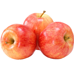 Planta frutal manzana fuji