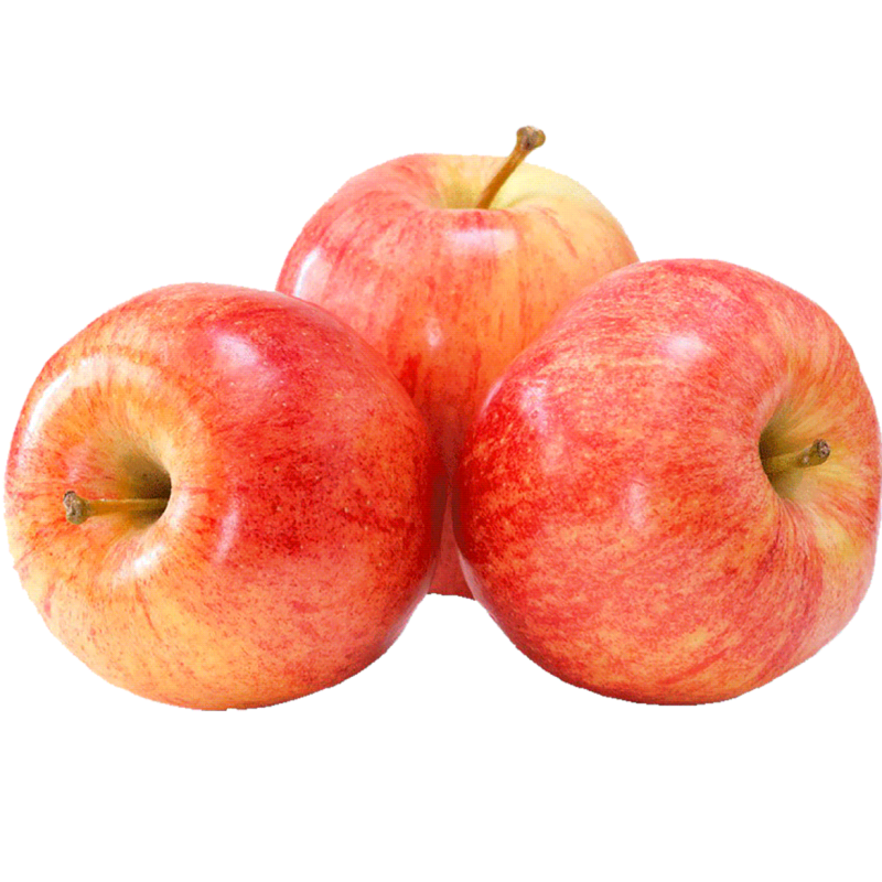 Planta frutal manzana fuji