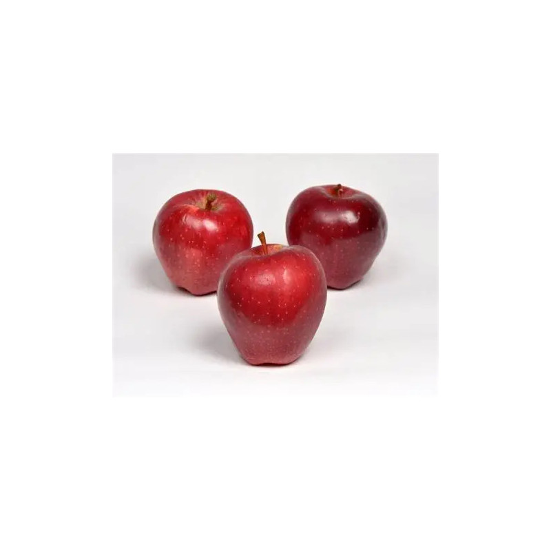Planta frutal manzana red chief