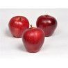 Planta frutal manzana red chief